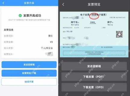 预览下载电子凭证