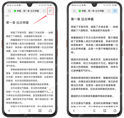 步骤1：打开支持的小说网页真实操作界面
