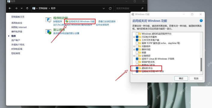 Win11怎么启用虚拟机平台功能