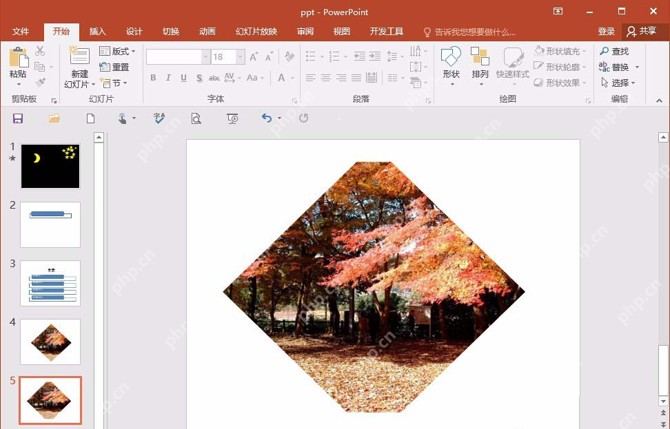 PowerPoint 图片被裁成菱形后的最终显示效果