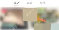 小红书个人主页中选择已发布笔记