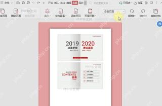 PDF文件如何快速查看奇偶页面？设置效果