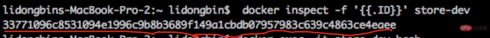 So legen Sie Dateien in den Docker-Container ab