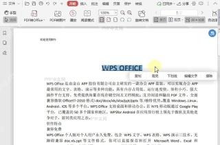 如何设置PDF文档中的下划线颜色?中间操作
