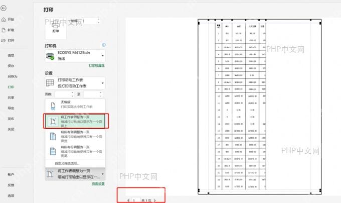 Excel 打印预览中打开缩放选项
