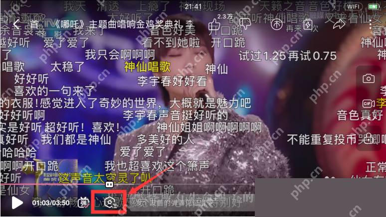 在视频控制栏中打开弹幕设置入口