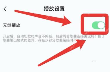 QQ音乐无缝播放开关