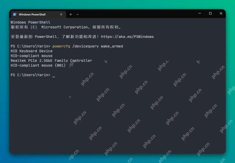 Windows PowerShell 运行 powercfg devicequery wake_armed 列出可唤醒设备