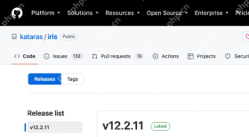 kataras Iris GitHub Releases 页面显示 v12.2.11 版本列表