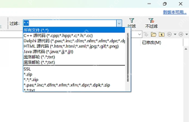 Beyond Compare 文件筛选下拉框中包含 csv 和 xls 等格式