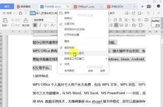 WPS如何将文件作为独立窗口显示？中间操作
