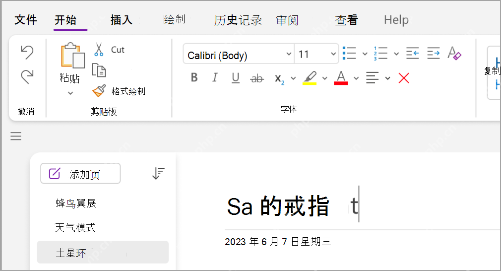 OneNote 打开后的页面列表和编辑区域