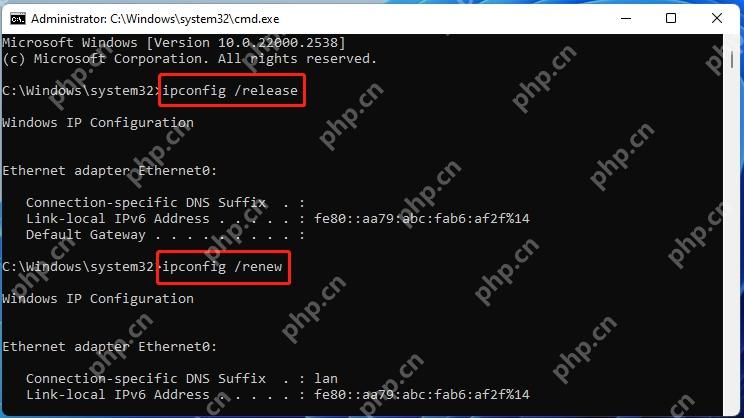 Windows 11 续租后重新检查到期时间的真实界面截图