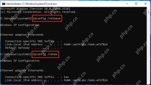 Windows 11 续租后重新检查到期时间的真实界面截图