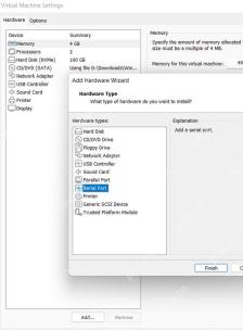 VMware Workstation Add Hardware Wizard 中 Serial Port 被选中用于添加串行端口