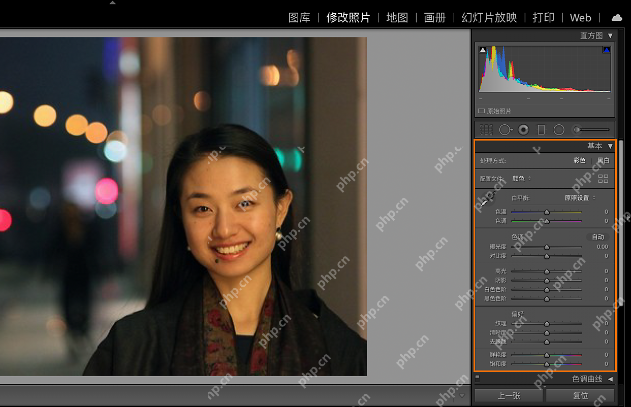 Lightroom Classic Windows 版中文基本面板阴影滑块位置与左侧暗部较多的直方图