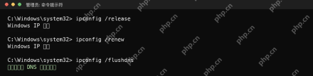 Win10 管理员命令提示符运行 ipconfig 释放刷新地址并清理 DNS