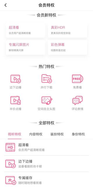 哔哩哔哩大会员特权页面_哔哩哔哩怎么开通大会员_哔哩哔哩大会员开通操作步骤 - php中文网