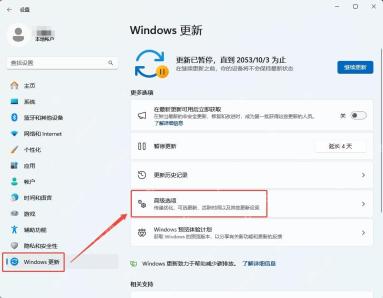 win11如何关闭自动更新_win11自动更新控制选项与设置说明 - php中文网