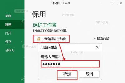 Excel 保护工作簿页面选择用密码进行加密并打开密码输入框