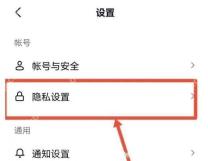 抖音设置页面中的隐私设置入口