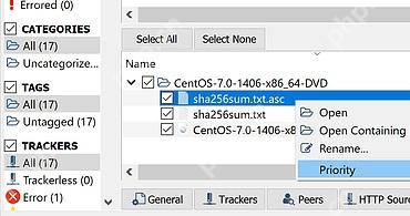 qBittorrent 底部 Content 内容标签和种子文件列表