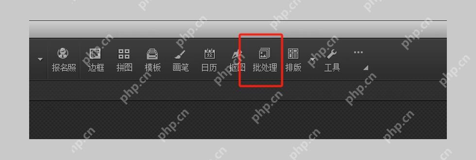 顶部工具栏中的批处理入口