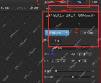 光影魔术手文字工具右侧输入框和添加文字按钮