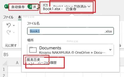 Excel 文件名旁显示已保存并提供版本历史入口