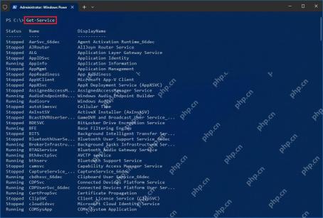 PowerShell 执行 Get-Service 查看服务列表