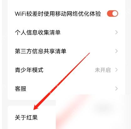 红果免费短剧设置页含夜间模式选项