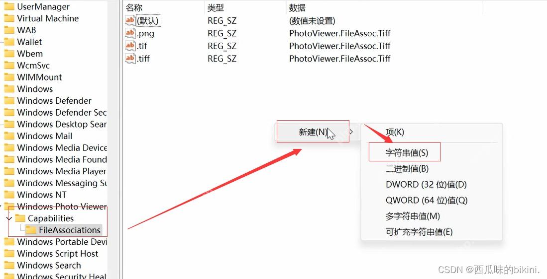 Win11 注册表编辑器中 Windows Photo Viewer 文件关联项