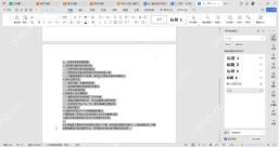 WPS 文字中选中已经整理成标题层级的纯文本大纲