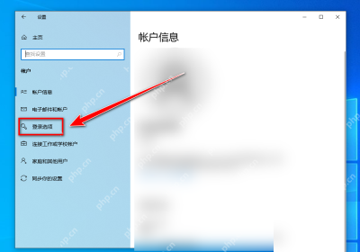 Win10 账户页面进入登录选项
