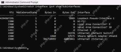 Windows 11 查看当前接口的 MTU的真实界面截图