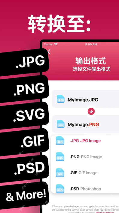 图片格式转换器展示JPG PNG SVG等多种输出格式