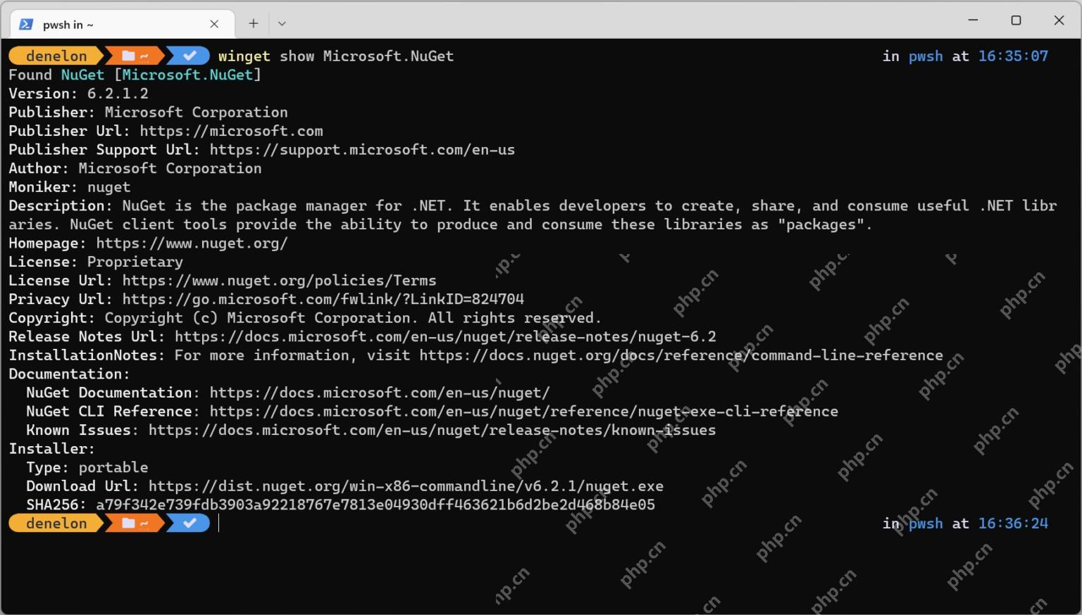 Win11 Windows Terminal 运行 winget show Microsoft.NuGet 显示发布者主页许可和安装器地址