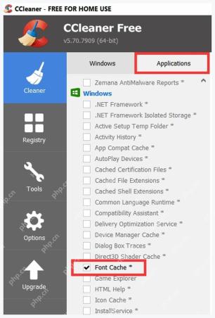 CCleaner Windows 电脑端 Advanced 分类中的 Font Cache 勾选项和字体缓存文件列表