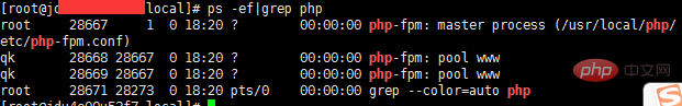 Linux で php-fpm が開始されているかどうかを確認する方法