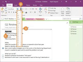 OneNote 开始选项卡字号下拉菜单,用来调整选中文字大小