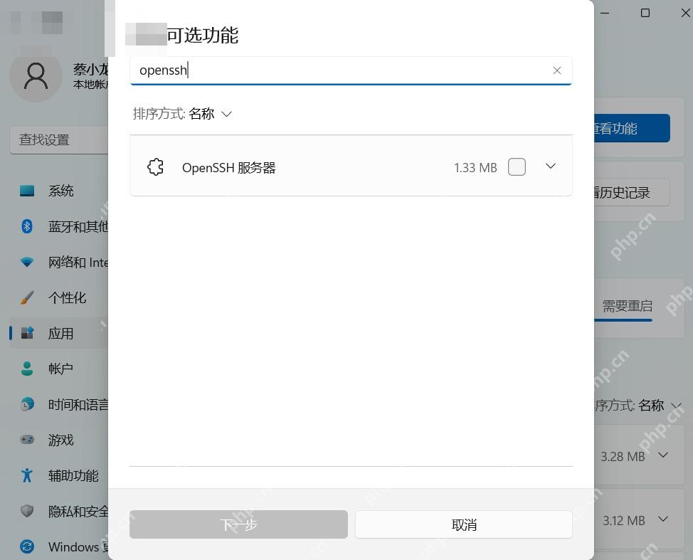 Win11 添加可选功能窗口搜索 OpenSSH 服务器