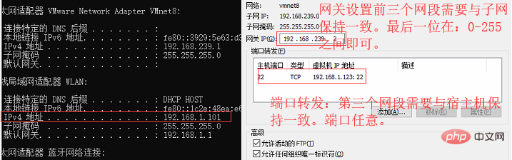 Linux가 외부 네트워크에 액세스할 수 없는 문제에 대한 솔루션