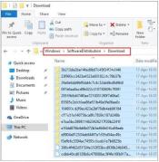 Win10 资源管理器打开 SoftwareDistribution Download 文件夹