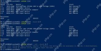 PowerShell 中通过 usbipd bind 和 attach 将 USB 串口设备附加到 WSL