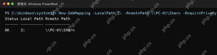Win10 PowerShell 使用 New-SmbMapping RequirePrivacy 映射加密共享