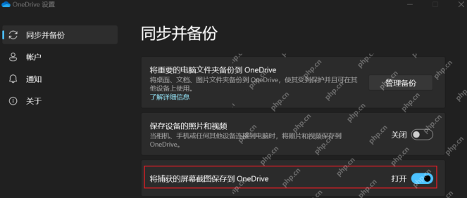 OneDrive 同步并备份页面中的截图自动保存开关
