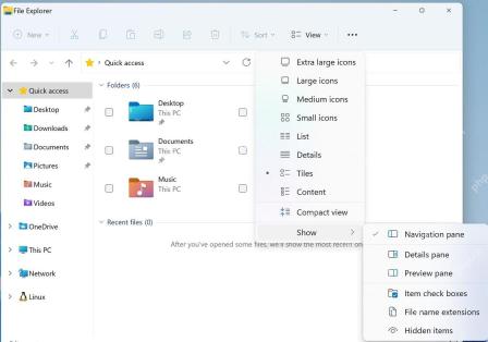 Win11 查看菜单中 Item check boxes 已勾选