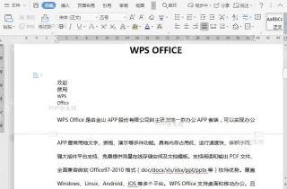 如何在文档中插入思维导图？入口位置
