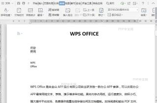 如何打开文档Web版式视图?入口位置