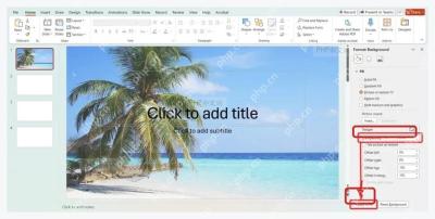 PowerPoint 背景透明度和全部应用按钮用于确认图片背景